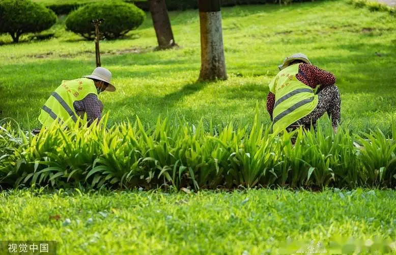 厦门城市绿化护栏规范