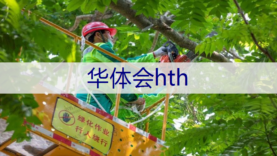 沥青路面绿化工程包括哪些